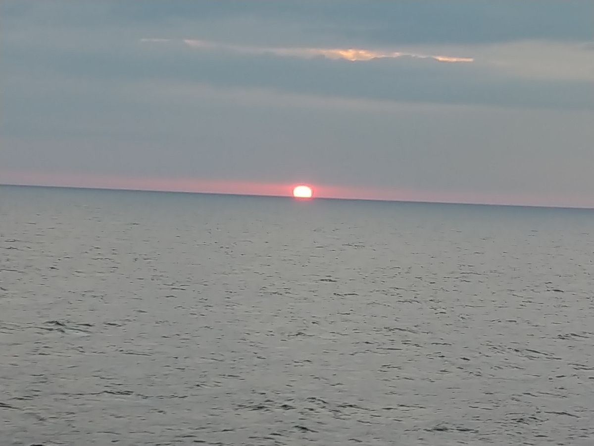 f:id:yuttan2679:20190428141931j:plain