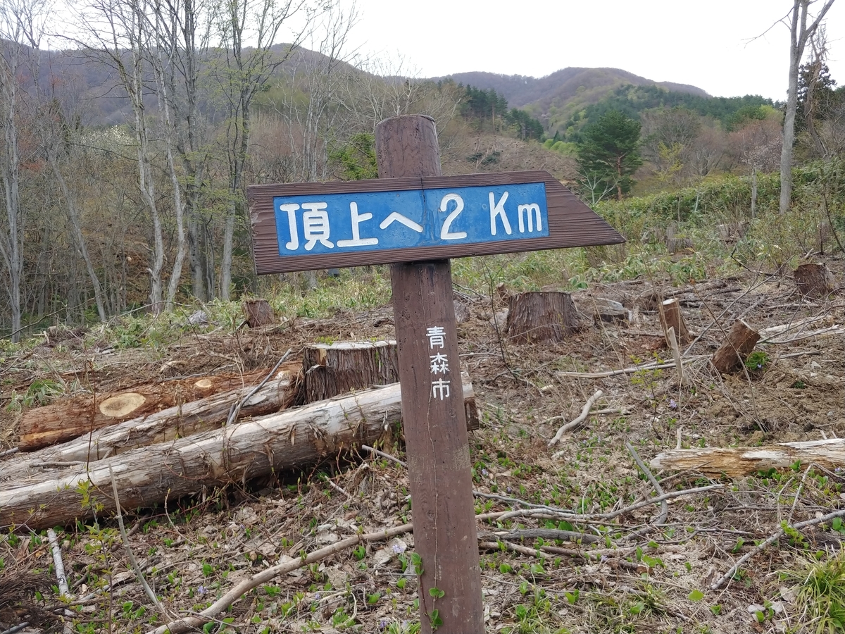 f:id:yuttan2679:20190430182040j:plain