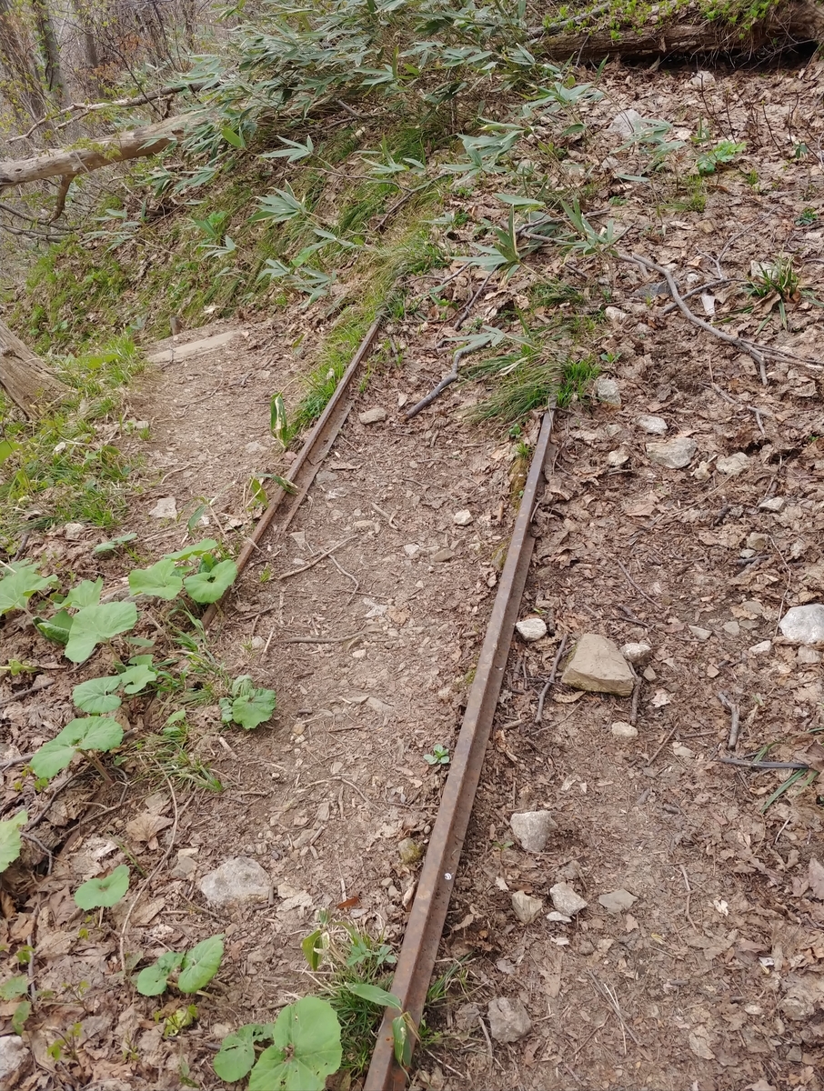 f:id:yuttan2679:20190430184446j:plain