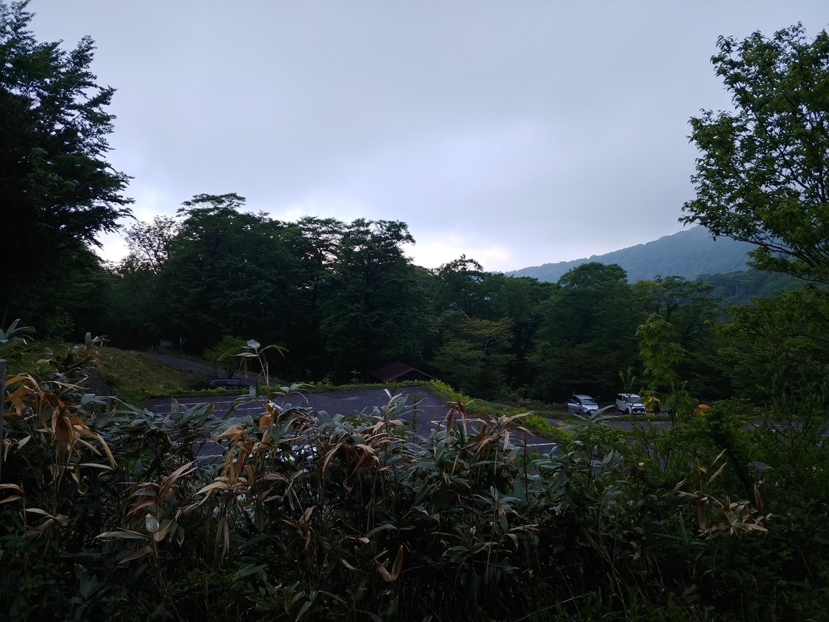f:id:yuttan2679:20190619225727j:plain