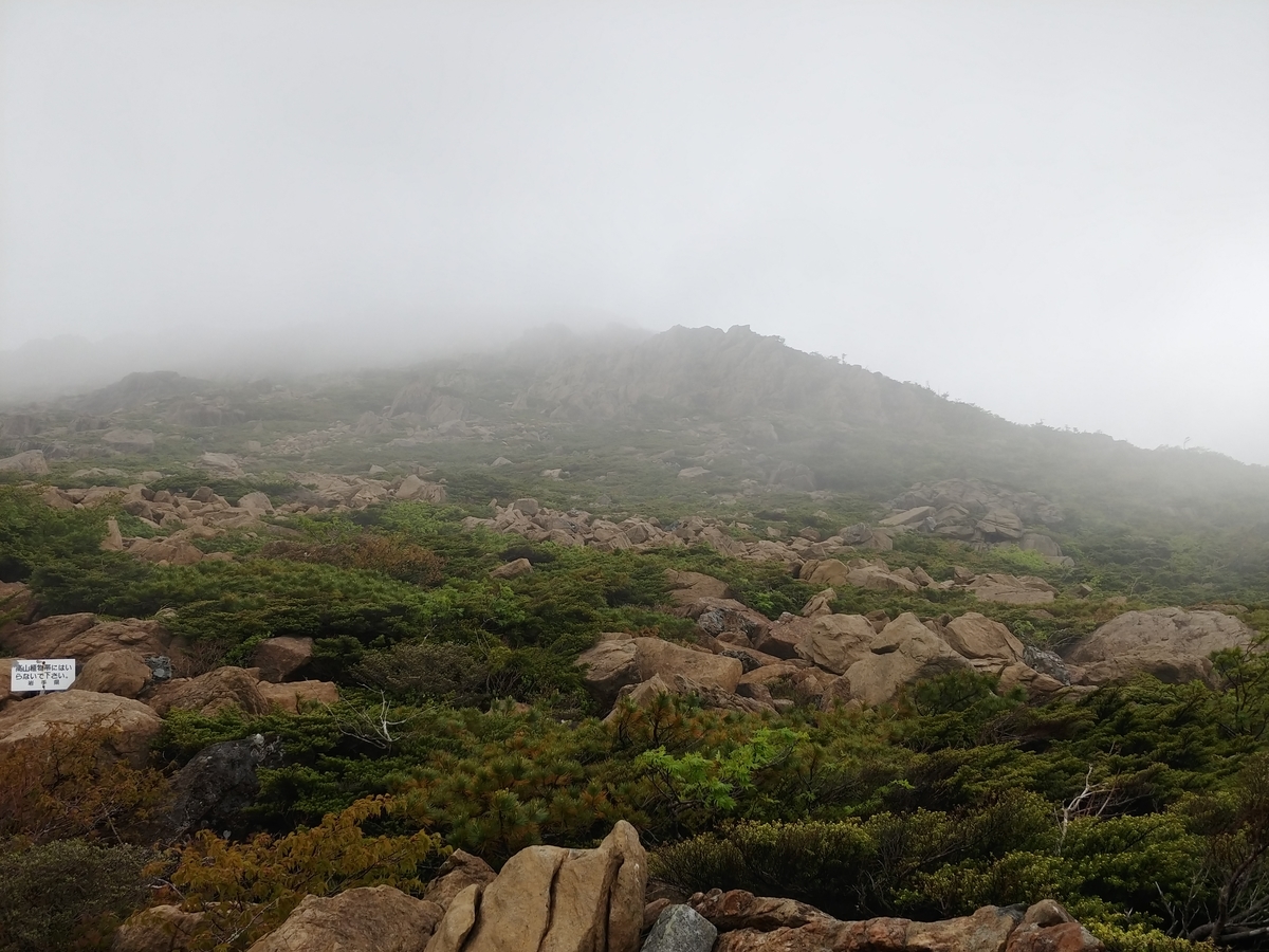 f:id:yuttan2679:20190619233259j:plain