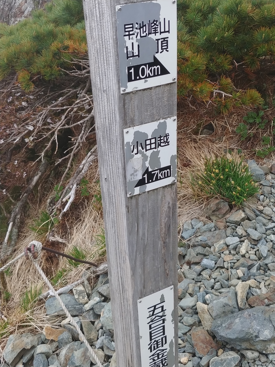 f:id:yuttan2679:20190619233755j:plain