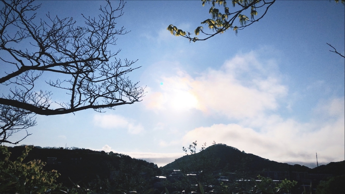 f:id:yuttan4:20201108122129j:plain