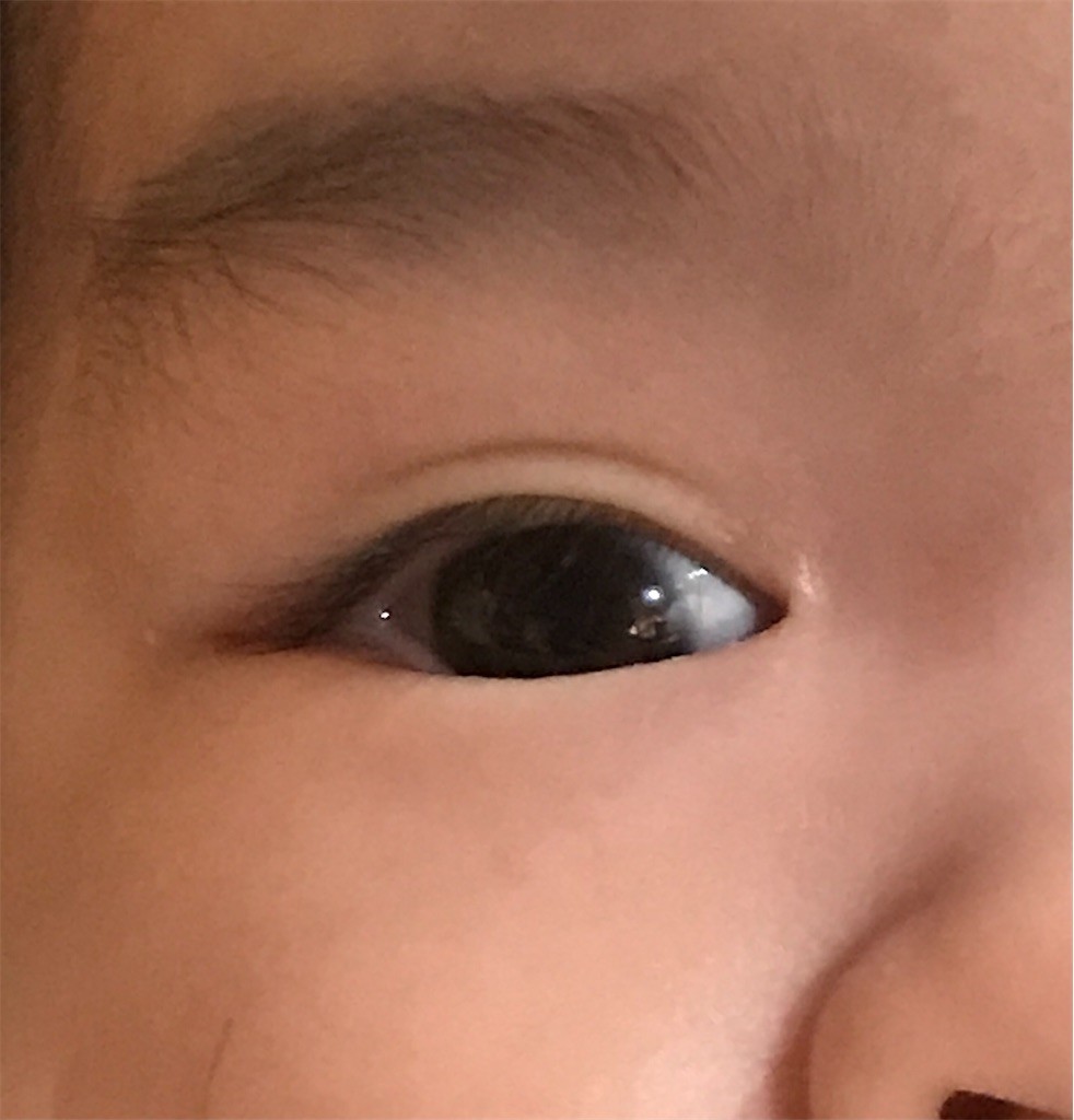 f:id:yuttariseikatu:20201225075507j:image