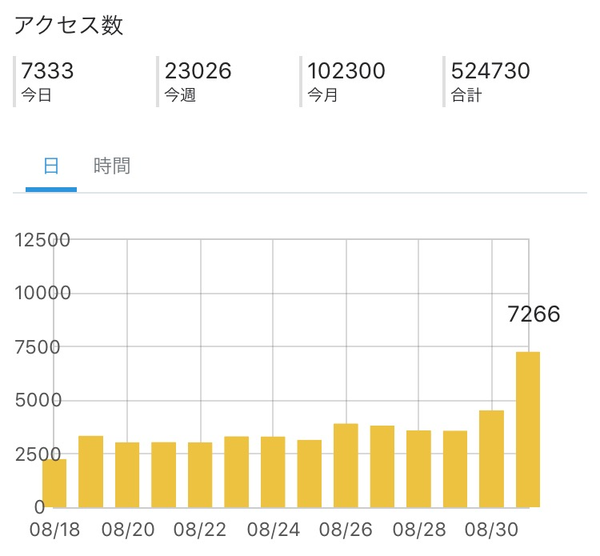 アクセス解析