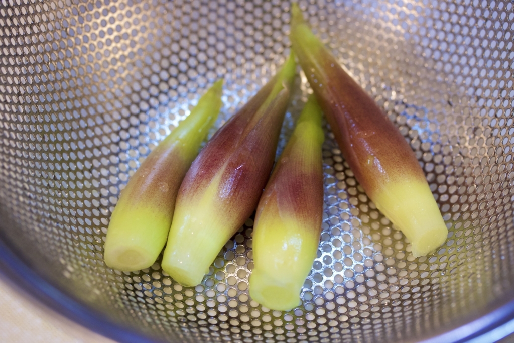 f:id:yuu514:20180501150618j:plain f:id:yuu514:20180501150618j:plain