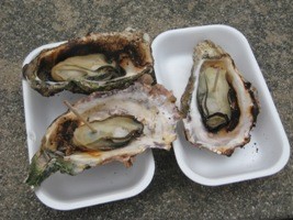 f:id:yuu_tokito:20120205104112j:image f:id:yuu_tokito:20120205104112j:image