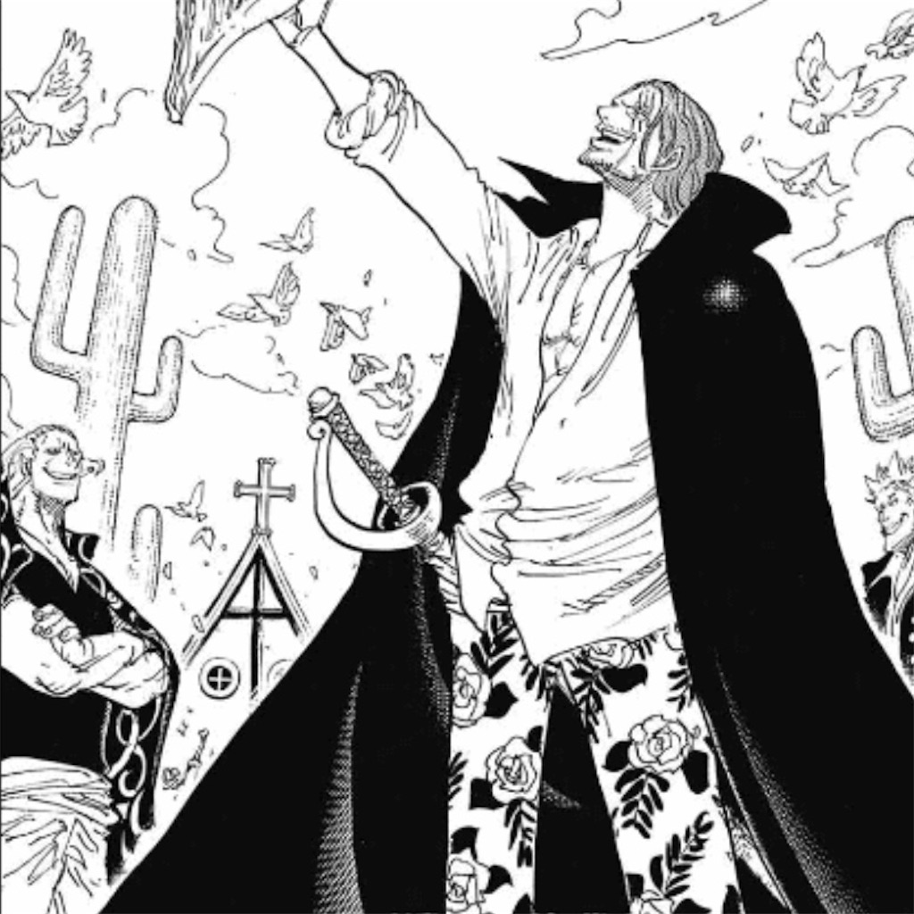 ワンピース 質問していい 覇気ってなんや アニメの駅