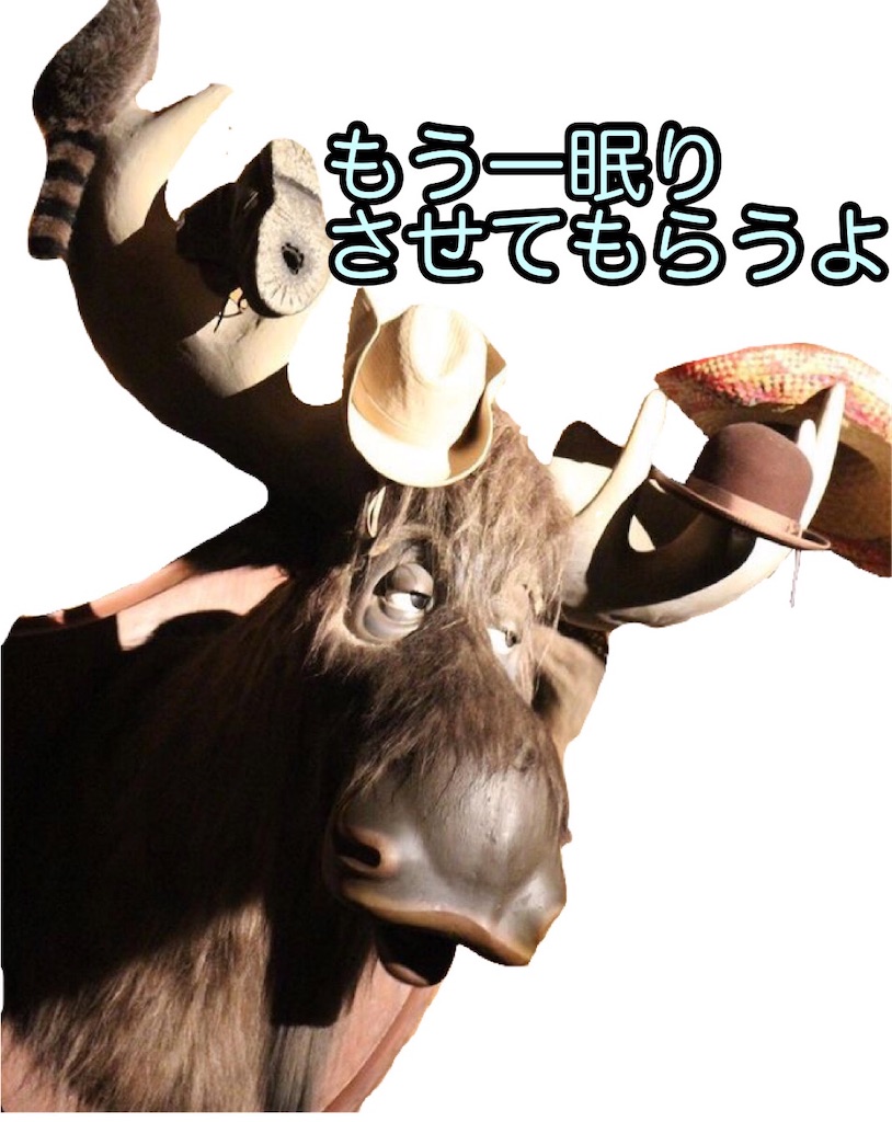 f:id:yuucanium:20201129001642j:image