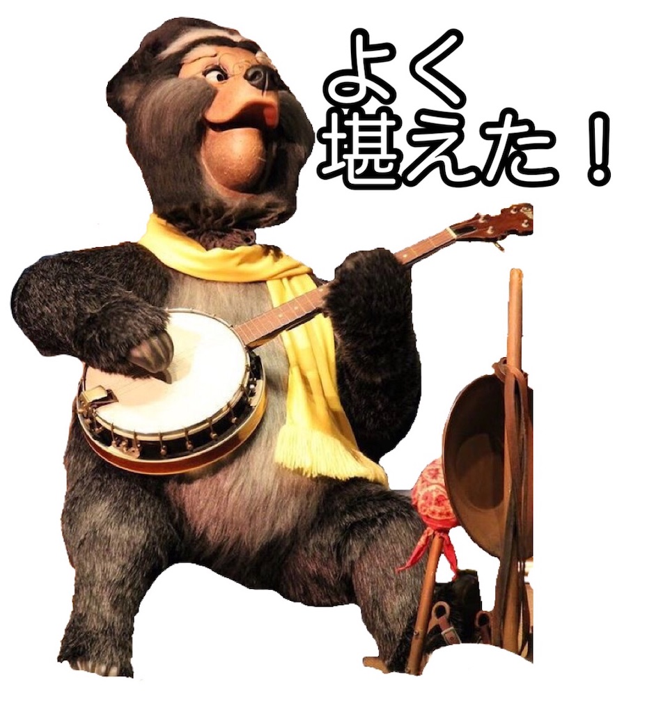 f:id:yuucanium:20201129004832j:image