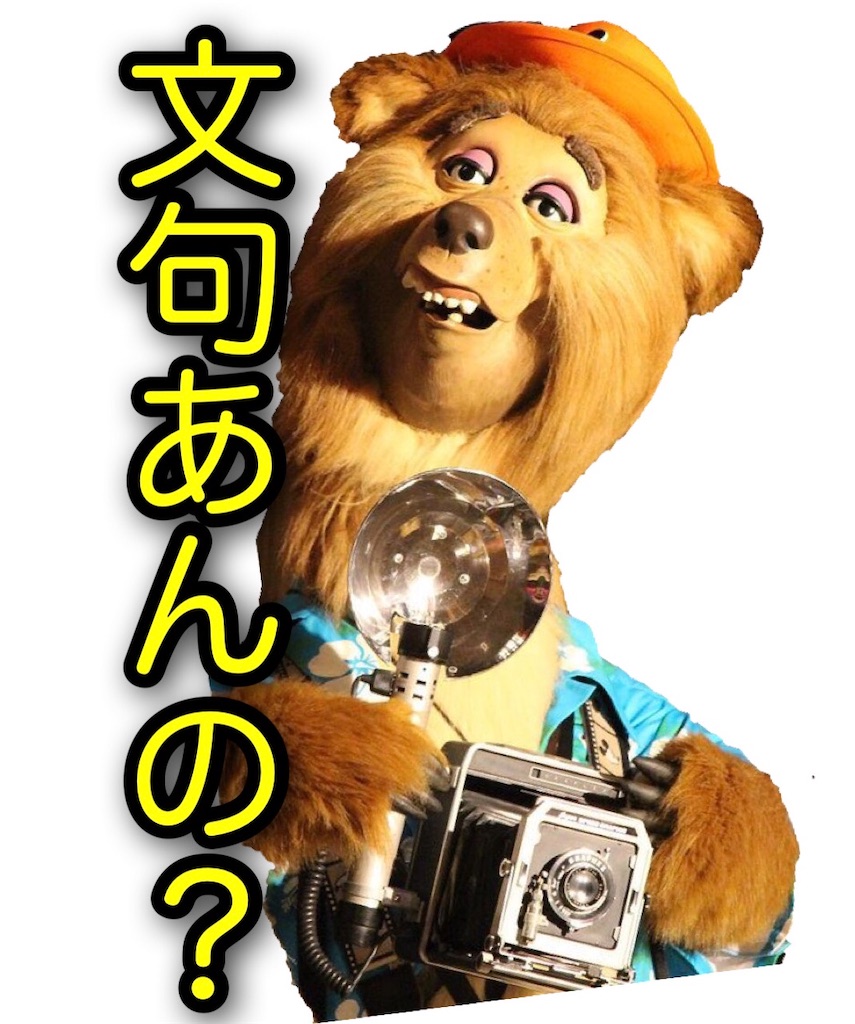 f:id:yuucanium:20201129010543j:image