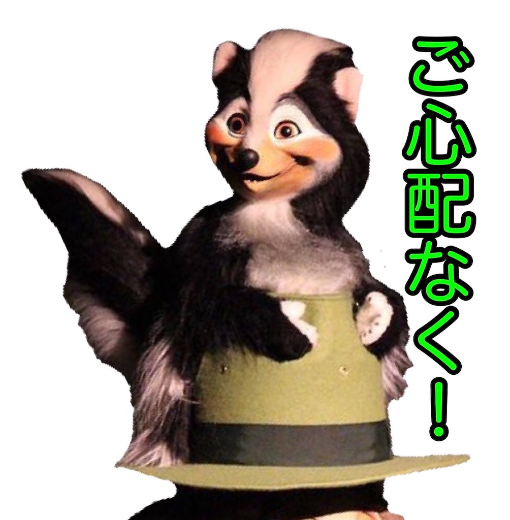 f:id:yuucanium:20201129110214j:image