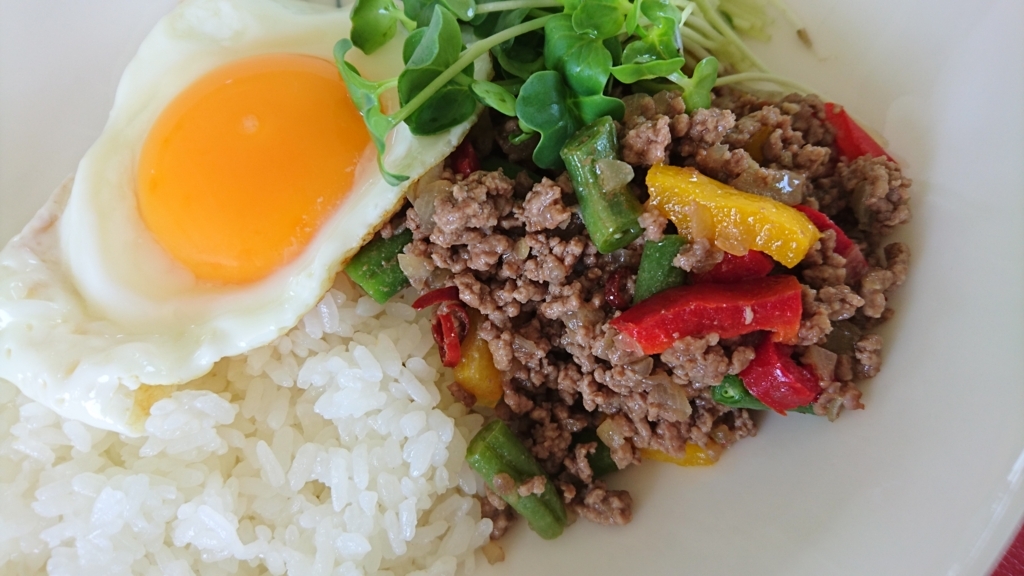 f:id:yuuhinooka:20170618064450j:plain