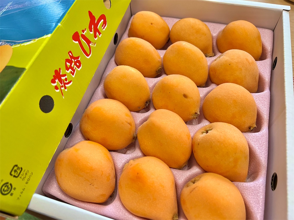f:id:yuui_5012:20220626105525j:image