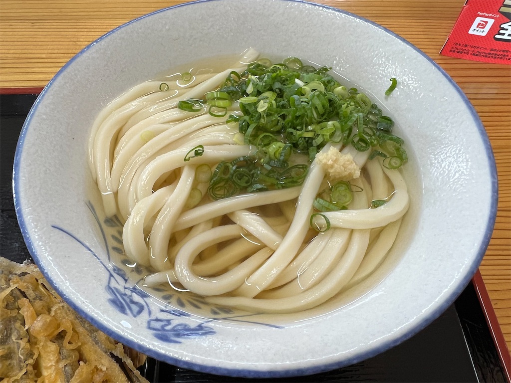 トンボの貴重な産卵シーンとお昼ご飯のうどん - ユウイの日記