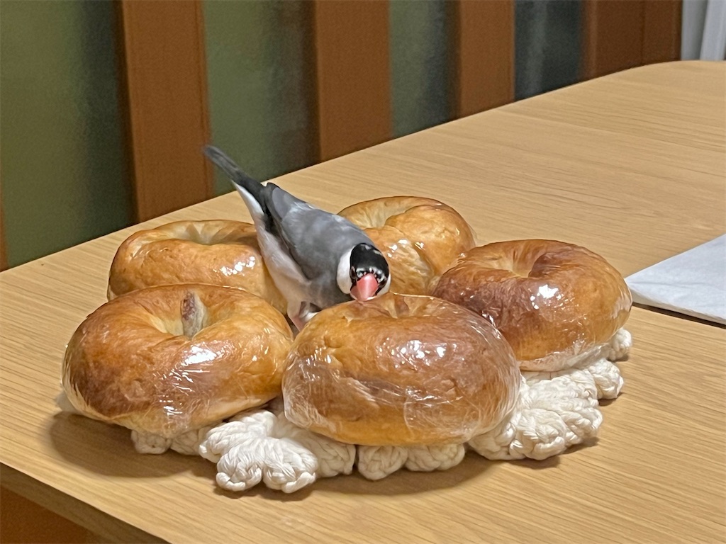 f:id:yuui_5012:20230828105258j:image f:id:yuui_5012:20230828105258j:image