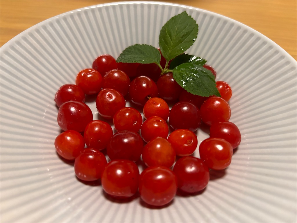 f:id:yuui_5012:20240526193131j:image