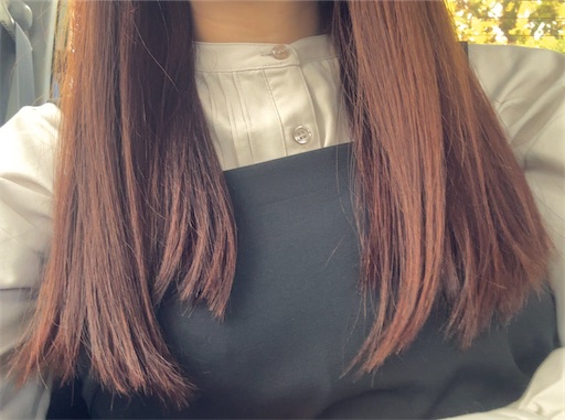 f:id:yuui_5012:20241115135112j:image