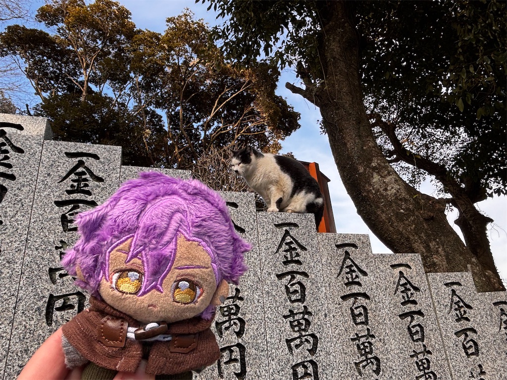 f:id:yuui_5012:20250225094431j:image