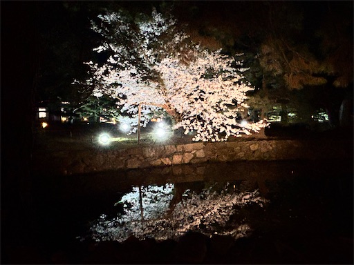 f:id:yuui_5012:20250407152257j:image