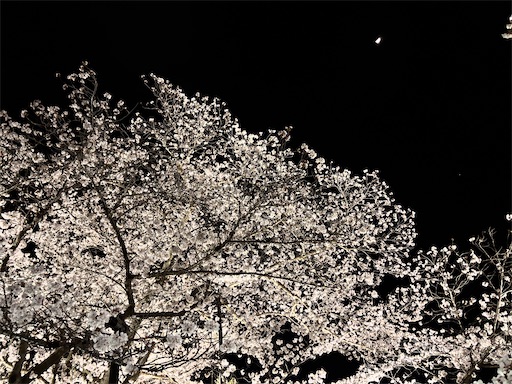 f:id:yuui_5012:20250407152339j:image