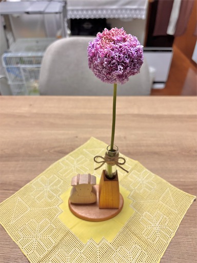 f:id:yuui_5012:20250413215557j:image