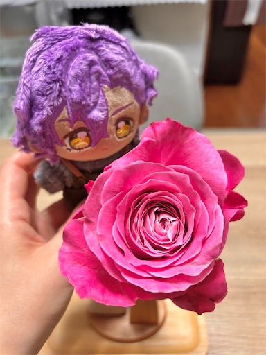 f:id:yuui_5012:20250421232108j:image