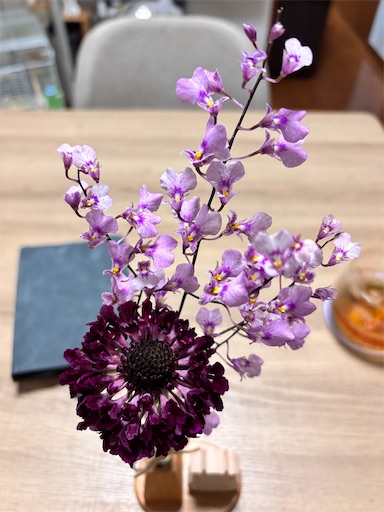 f:id:yuui_5012:20250430065641j:image