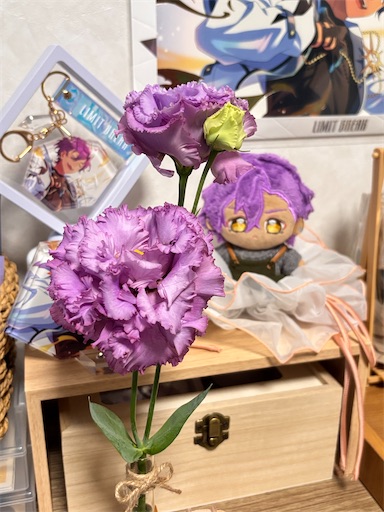 f:id:yuui_5012:20250519084603j:image