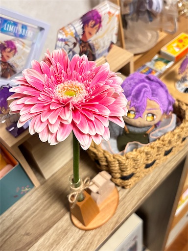 f:id:yuui_5012:20250530075141j:image