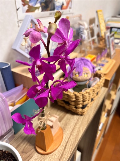 f:id:yuui_5012:20250610082246j:image