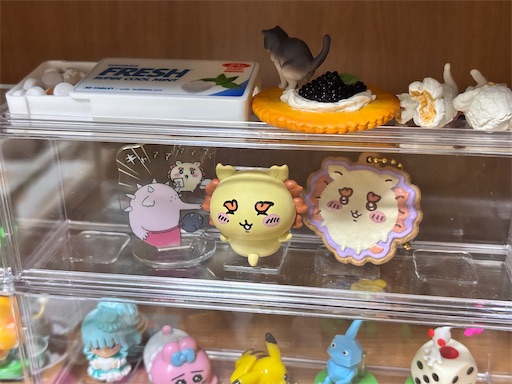 f:id:yuui_5012:20250824200231j:image