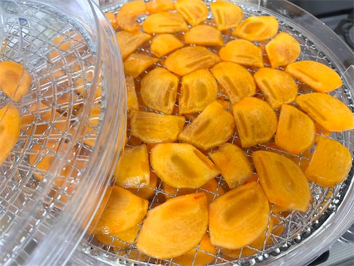 f:id:yuui_5012:20251219091848j:image