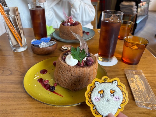 f:id:yuui_5012:20260214191250j:image