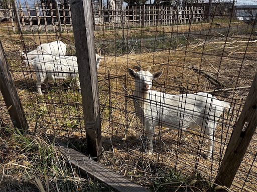 f:id:yuui_5012:20260214191302j:image