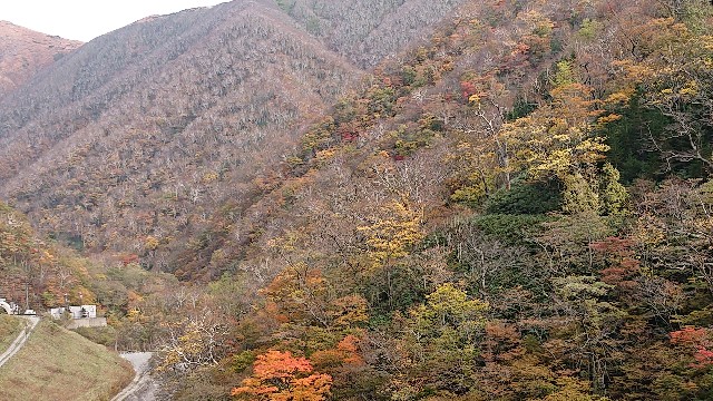 f:id:yuujandacalhelz:20201014101400j:plain