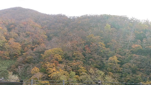 f:id:yuujandacalhelz:20201014101414j:plain