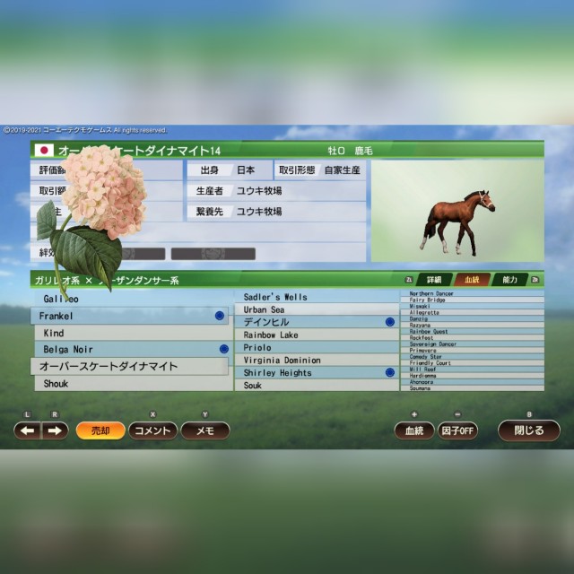 f:id:yuujandacalhelz:20210519212048j:plain