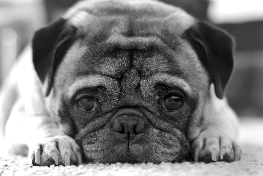 f:id:yuujin1:20180214230337j:plain