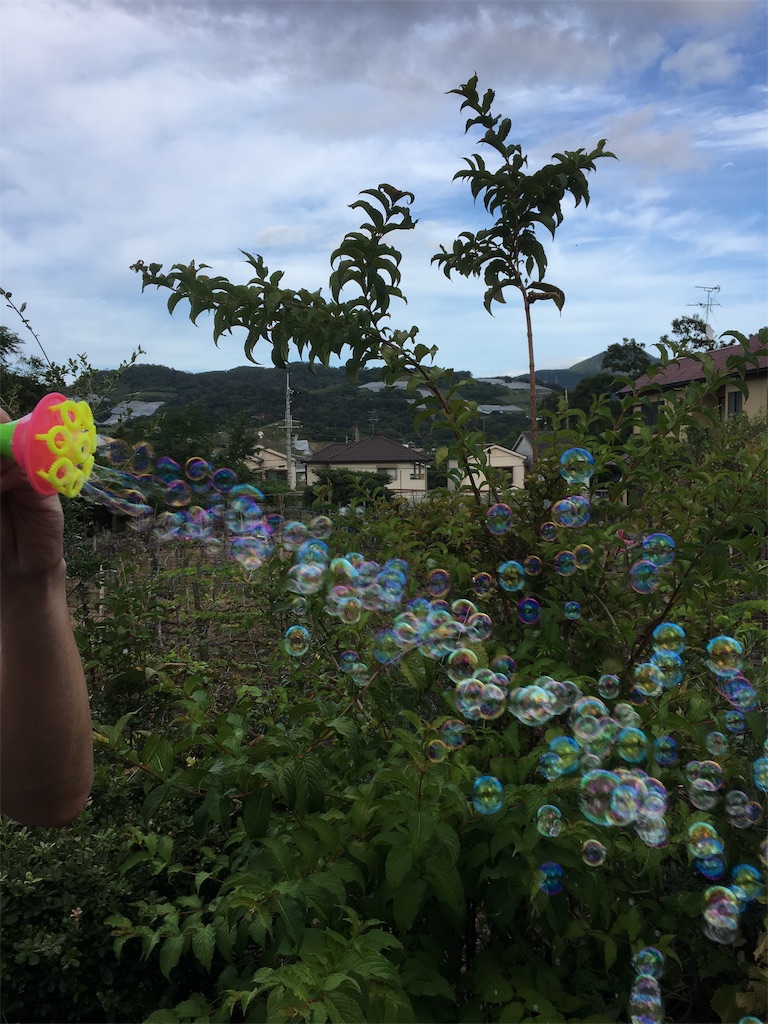 f:id:yuuka-masuda:20191025115400j:image