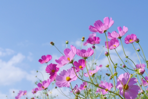 f:id:yuuka4:20200214152248j:plain f:id:yuuka4:20200214152248j:plain