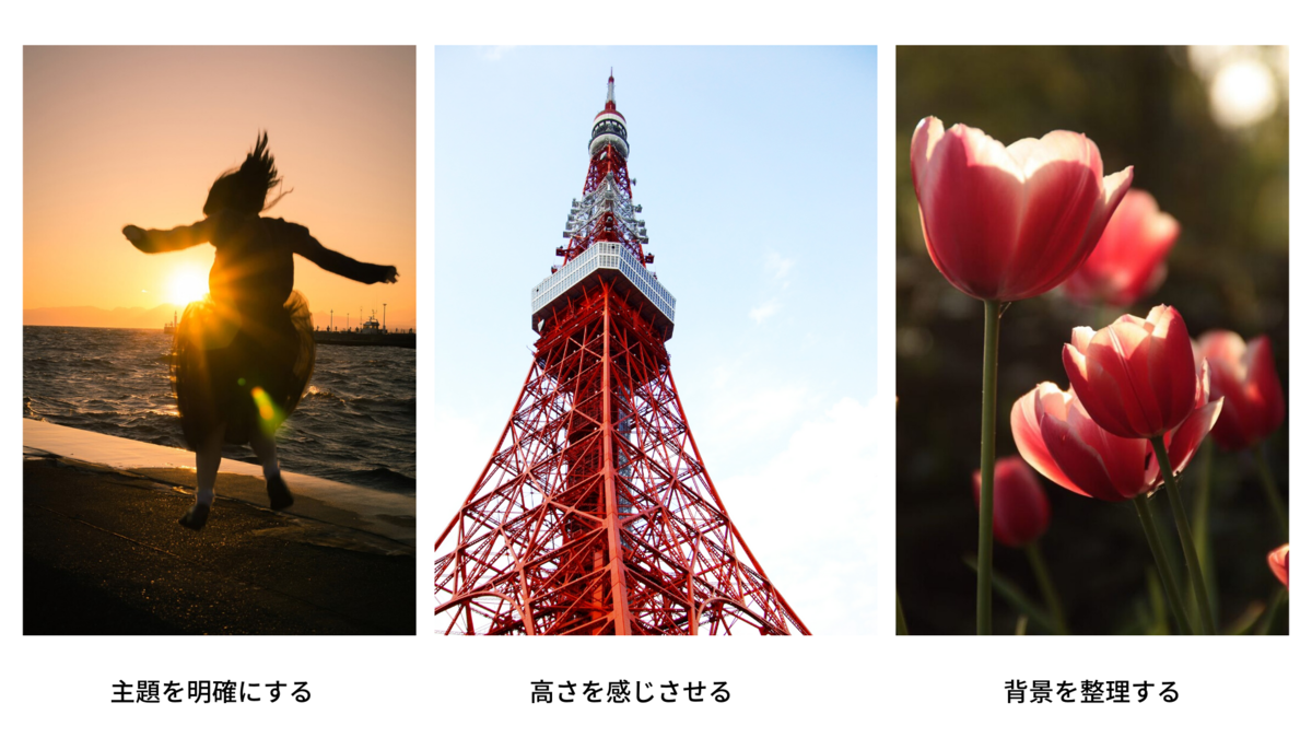 f:id:yuuka4:20200215023002p:plain f:id:yuuka4:20200215023002p:plain