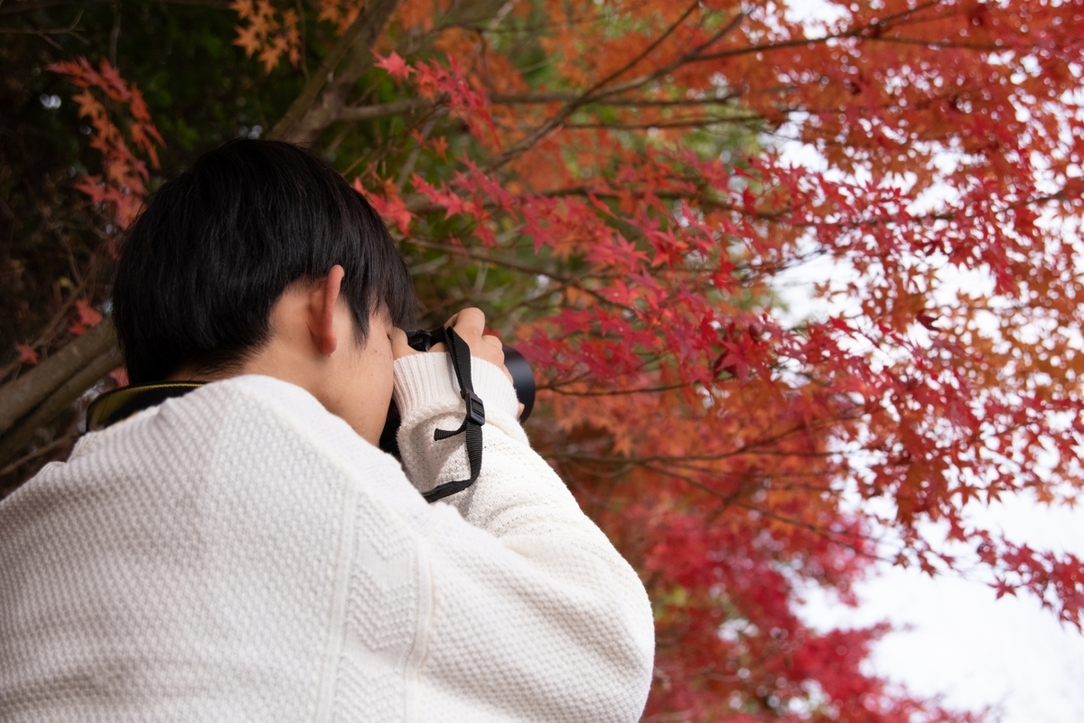 f:id:yuuka4:20200330172945j:plain f:id:yuuka4:20200330172945j:plain