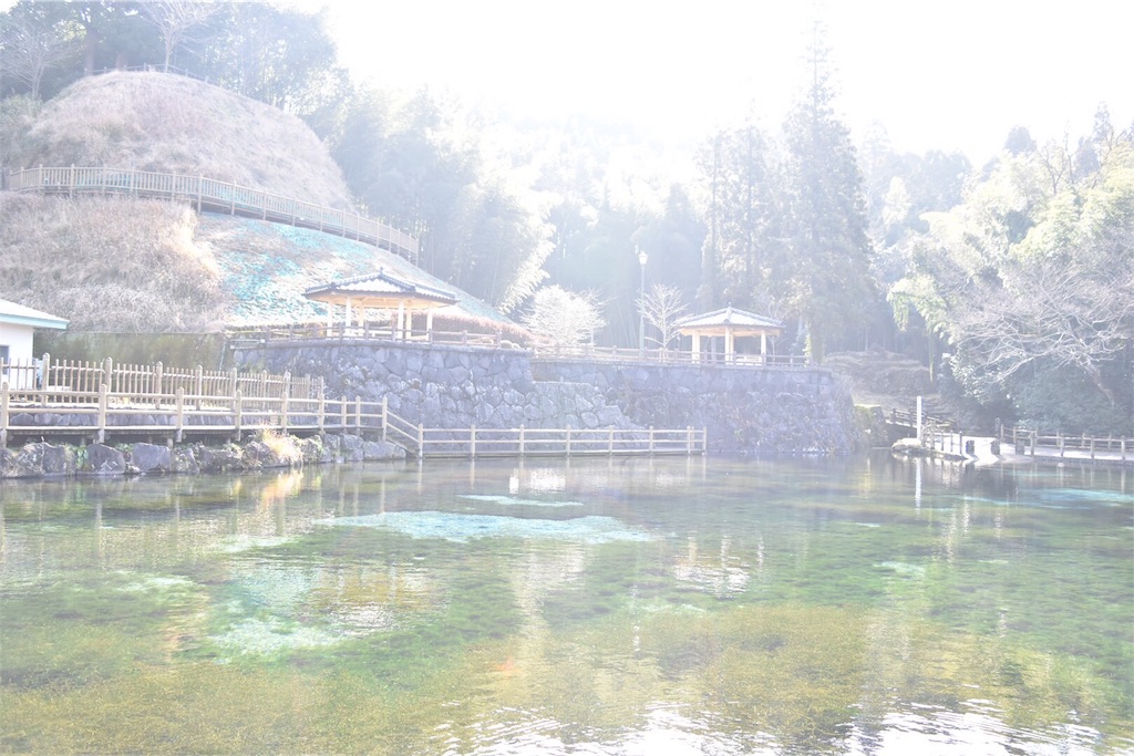 f:id:yuuka95:20170125231925j:image f:id:yuuka95:20170125231925j:image
