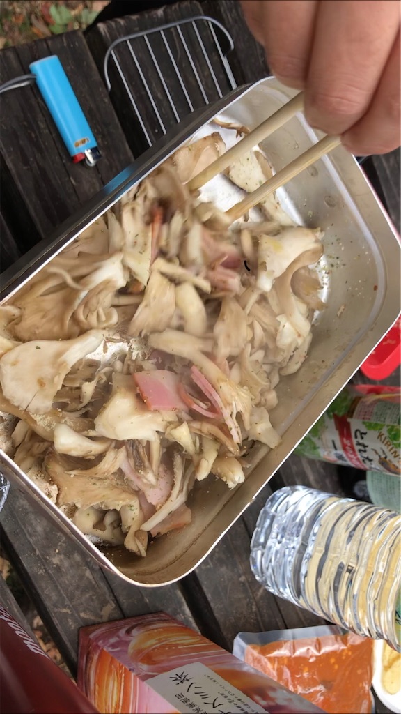 f:id:yuukanosuke2912:20201112223943j:image f:id:yuukanosuke2912:20201112223943j:image