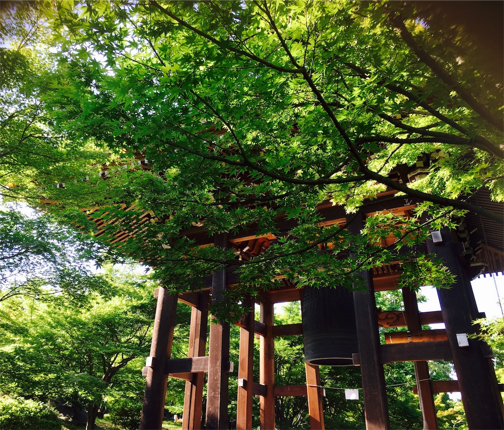 f:id:yuuki-houjyuin:20180529065833j:image f:id:yuuki-houjyuin:20180529065833j:image