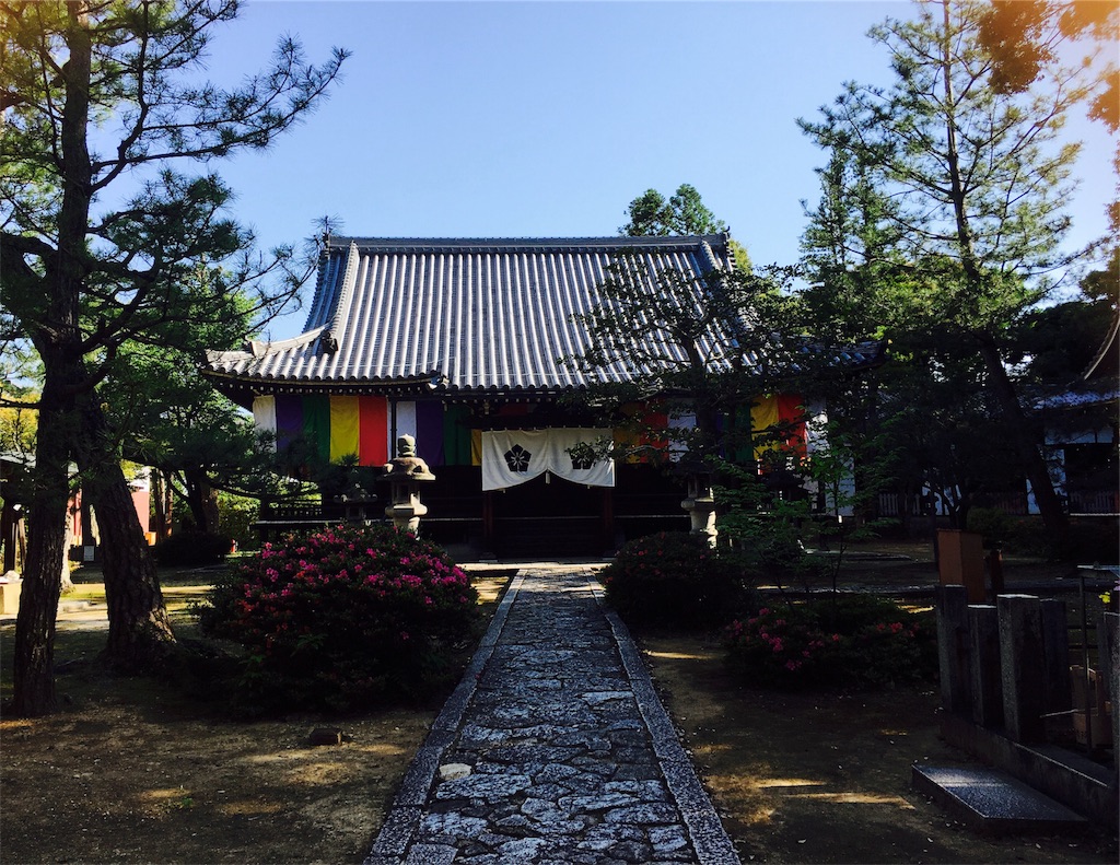 f:id:yuuki-houjyuin:20180529070322j:image f:id:yuuki-houjyuin:20180529070322j:image
