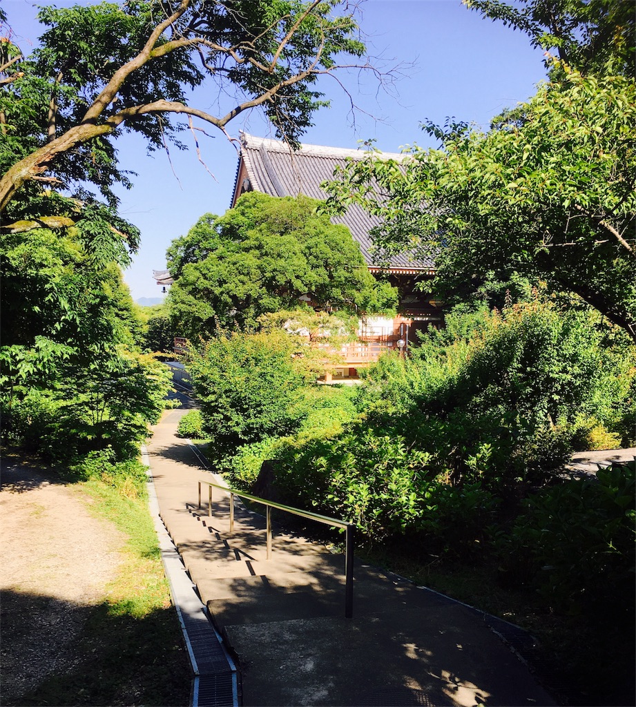 f:id:yuuki-houjyuin:20180529090152j:image f:id:yuuki-houjyuin:20180529090152j:image
