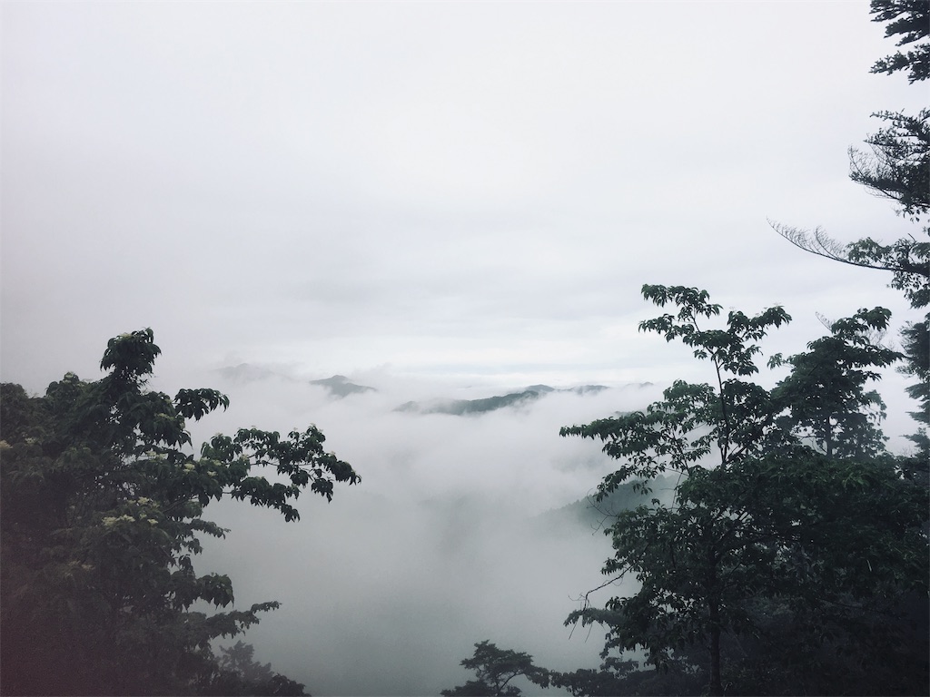 f:id:yuuki-houjyuin:20190721115127j:image f:id:yuuki-houjyuin:20190721115127j:image
