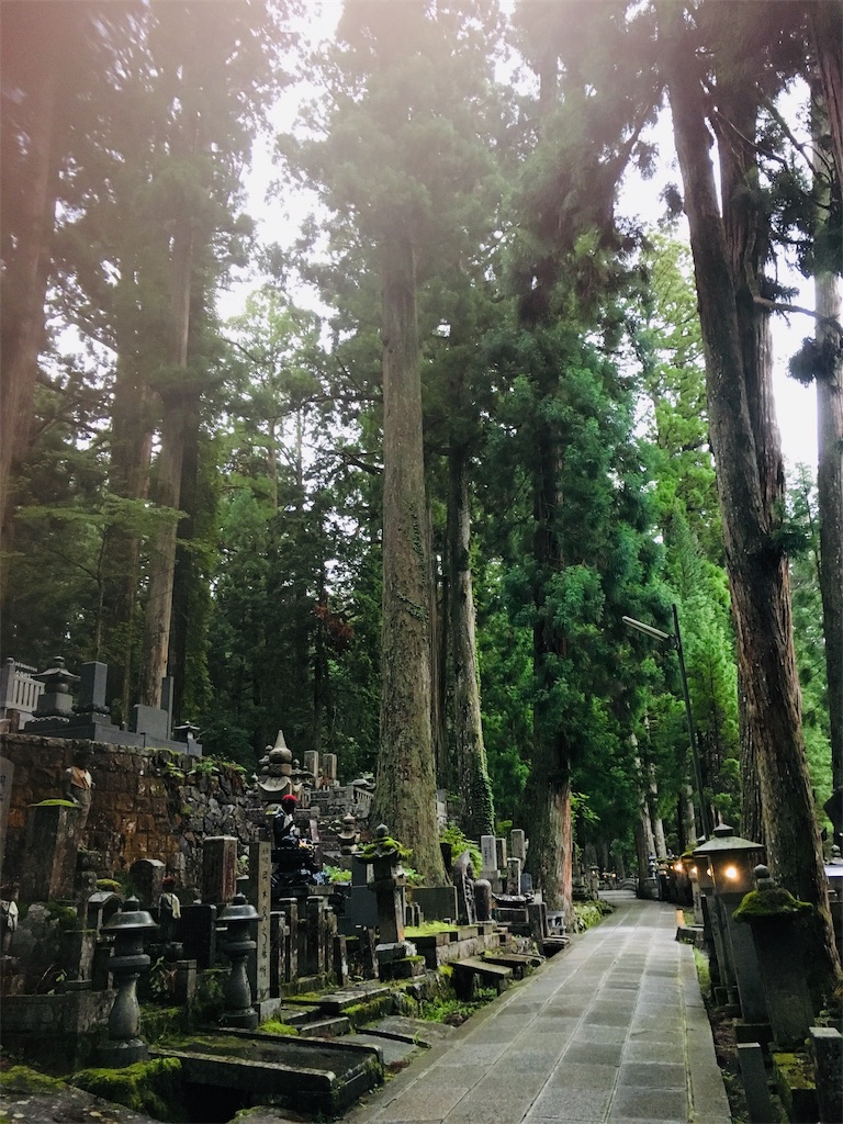 f:id:yuuki-houjyuin:20190721115138j:image f:id:yuuki-houjyuin:20190721115138j:image